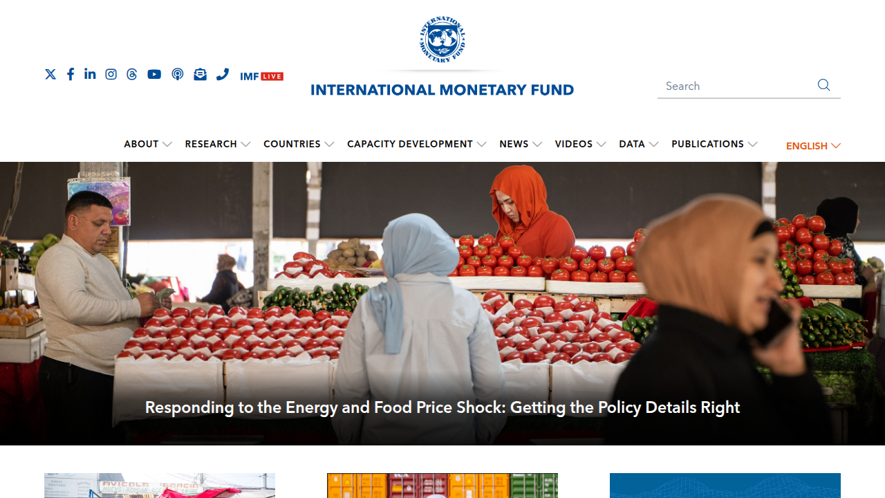 The International Monetary Fund's website, a source for economic research, including reports on AI's impact on labor markets.