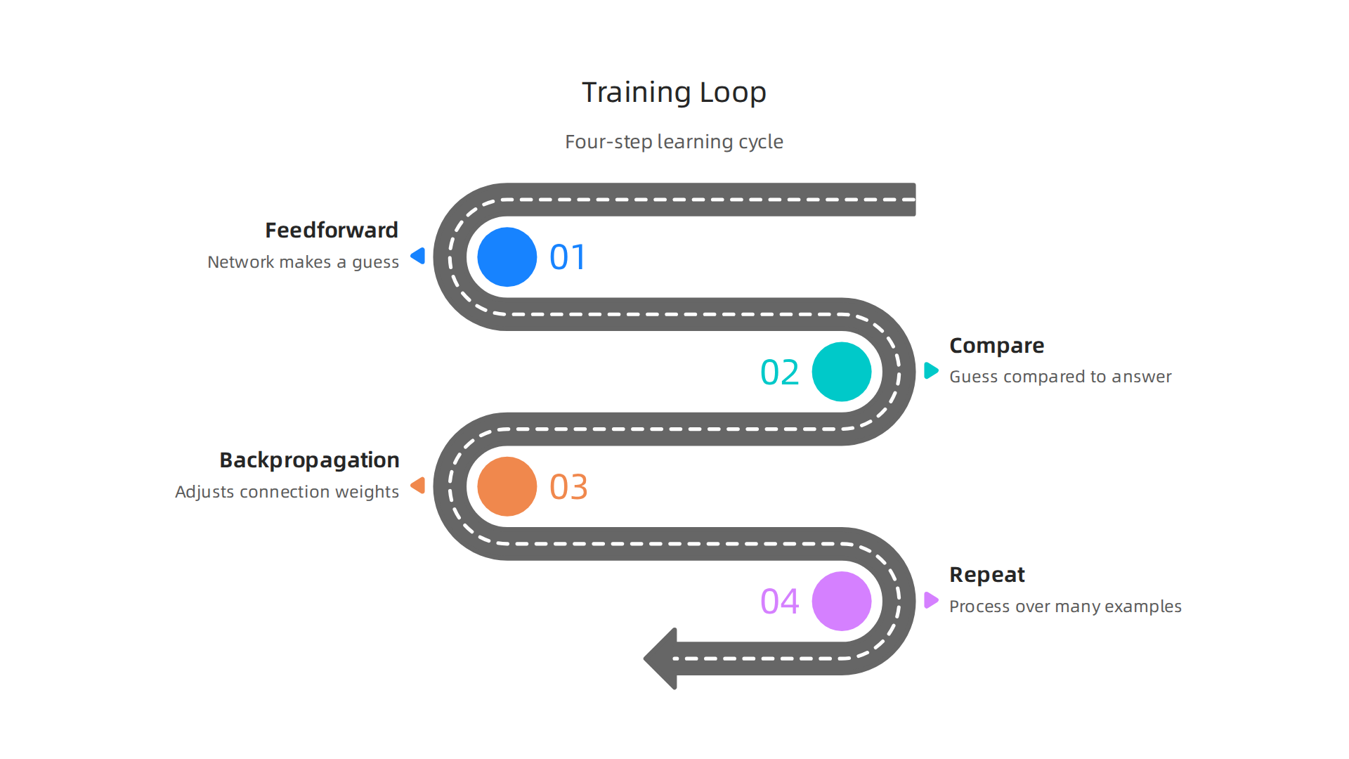 A four-step cycle illustrating how artificial neural networks learn through training data.