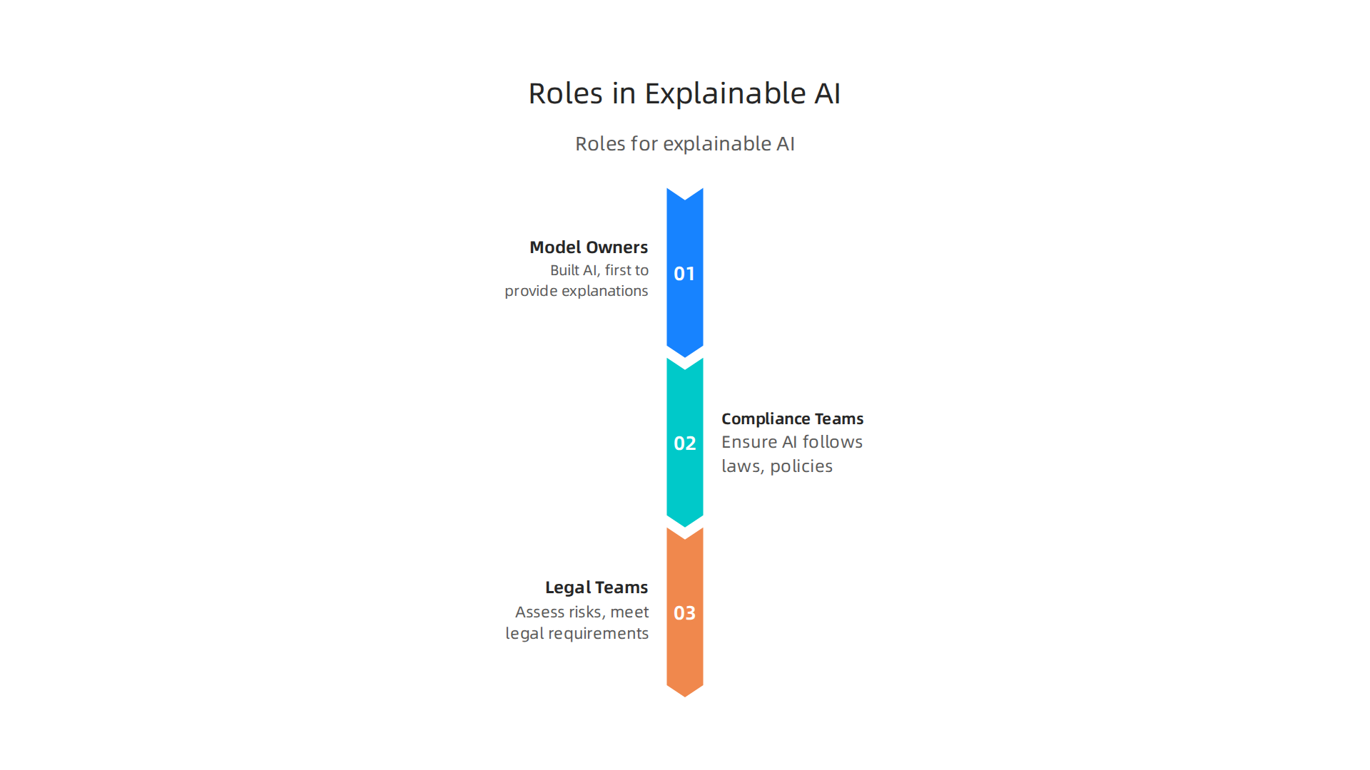 Infographic outlining key roles and responsibilities for operationalizing explainable AI within an organization.